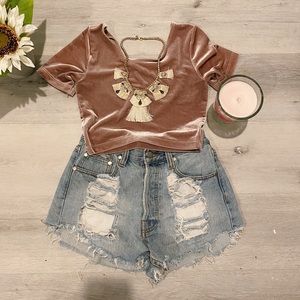 American Apparel Mauve Velvet Crop Top